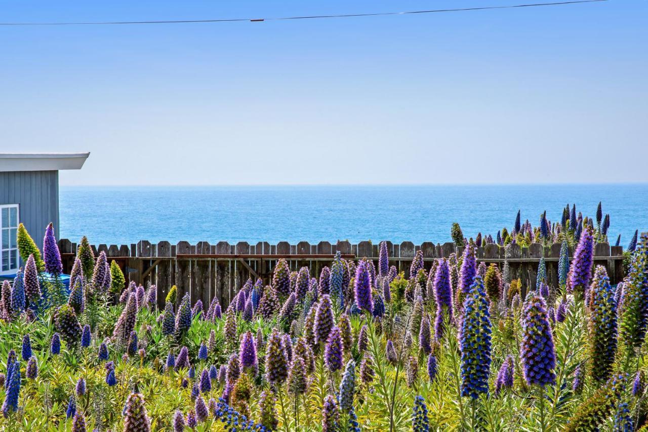 Cozy Carmet Cottage Bodega Bay Zewnętrze zdjęcie